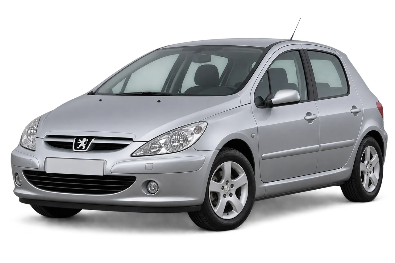 peugeot 307 · Mk1 (2001–2005) · Kartos iliustracija