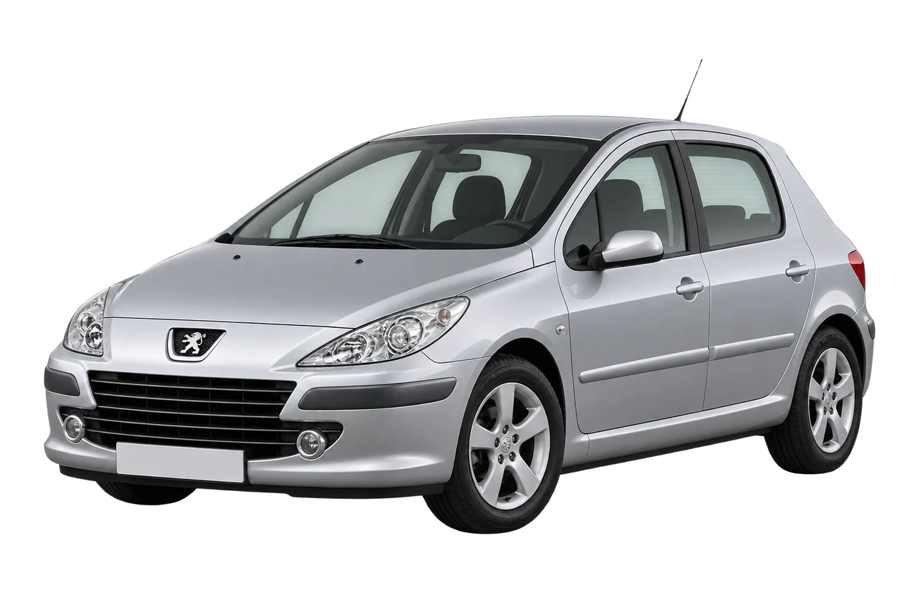 peugeot 307 · Model illustration