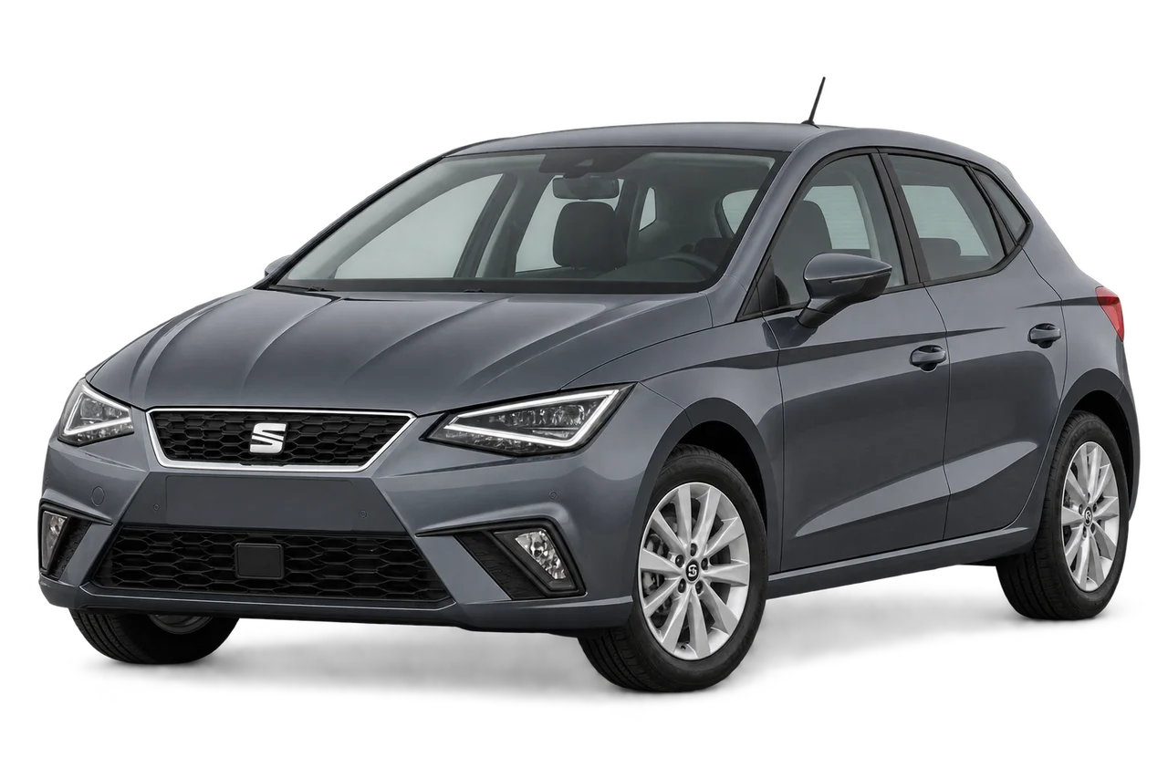 seat Ibiza · Mk5 (KJ) (2017–2021) · Kartos iliustracija